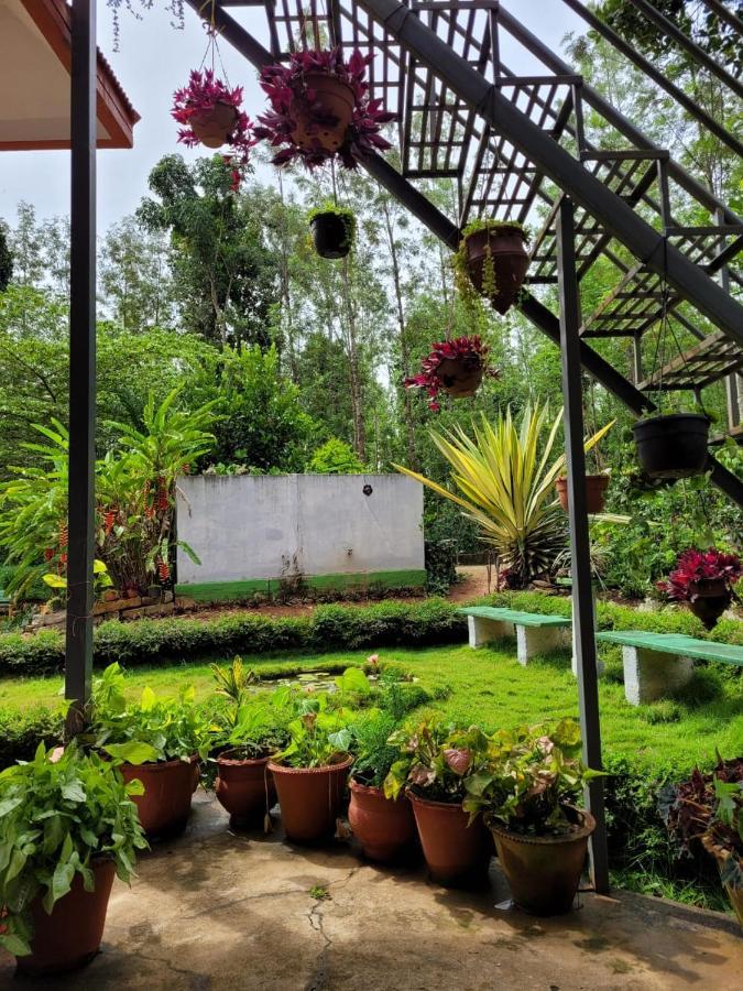 Bluebell Homestay Chikmagalūr Zewnętrze zdjęcie