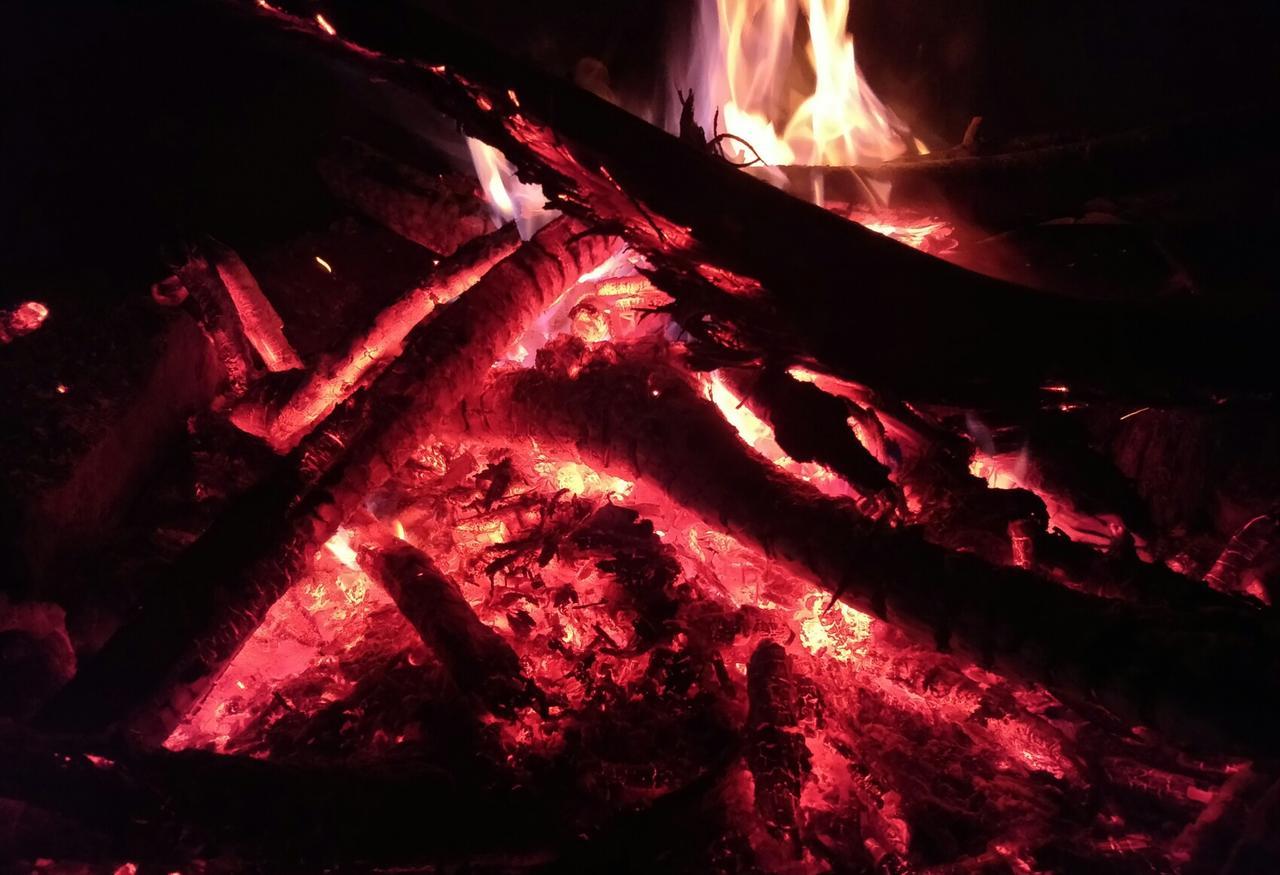 Bluebell Homestay Chikmagalūr Zewnętrze zdjęcie